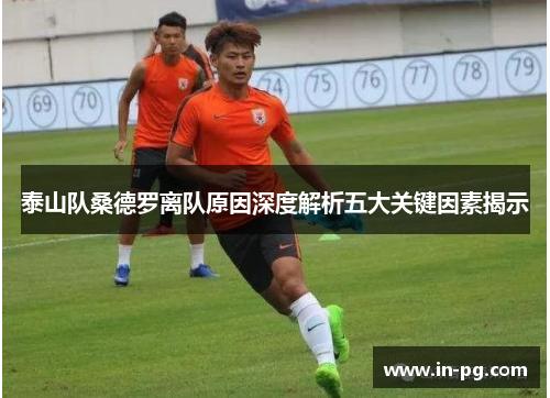 泰山队桑德罗离队原因深度解析五大关键因素揭示