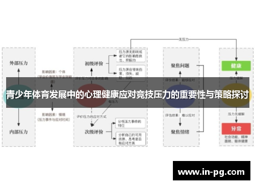 青少年体育发展中的心理健康应对竞技压力的重要性与策略探讨