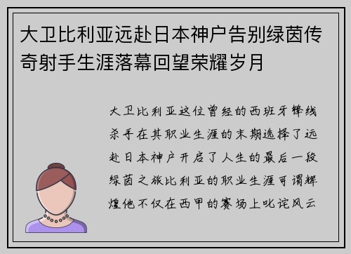 大卫比利亚远赴日本神户告别绿茵传奇射手生涯落幕回望荣耀岁月 大卫比利亚远赴日本神户告别绿茵传奇射手生涯落幕回望荣耀岁月
